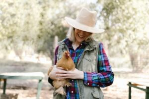 manejo y bienestar de gallinas
